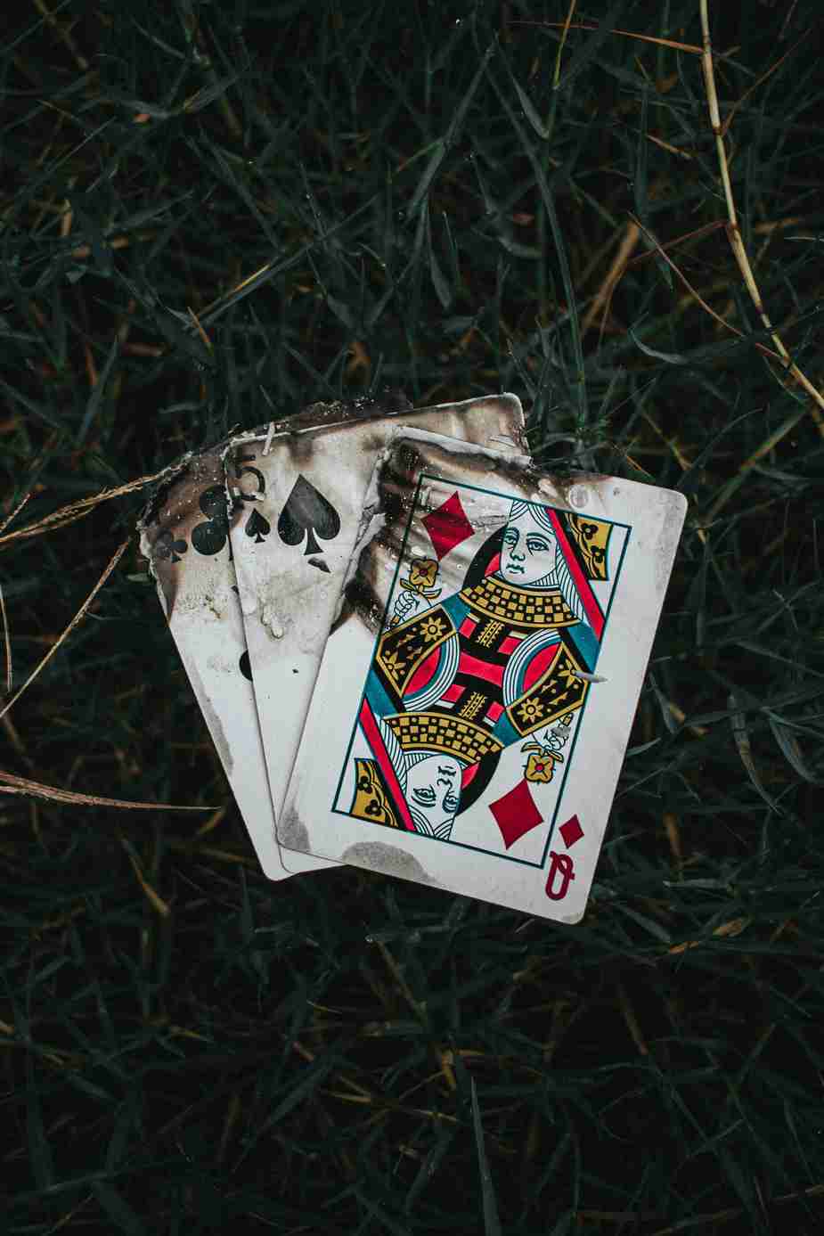 joya casino online